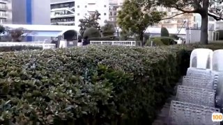 国产极品视频血战沙漠- 高清在线观看